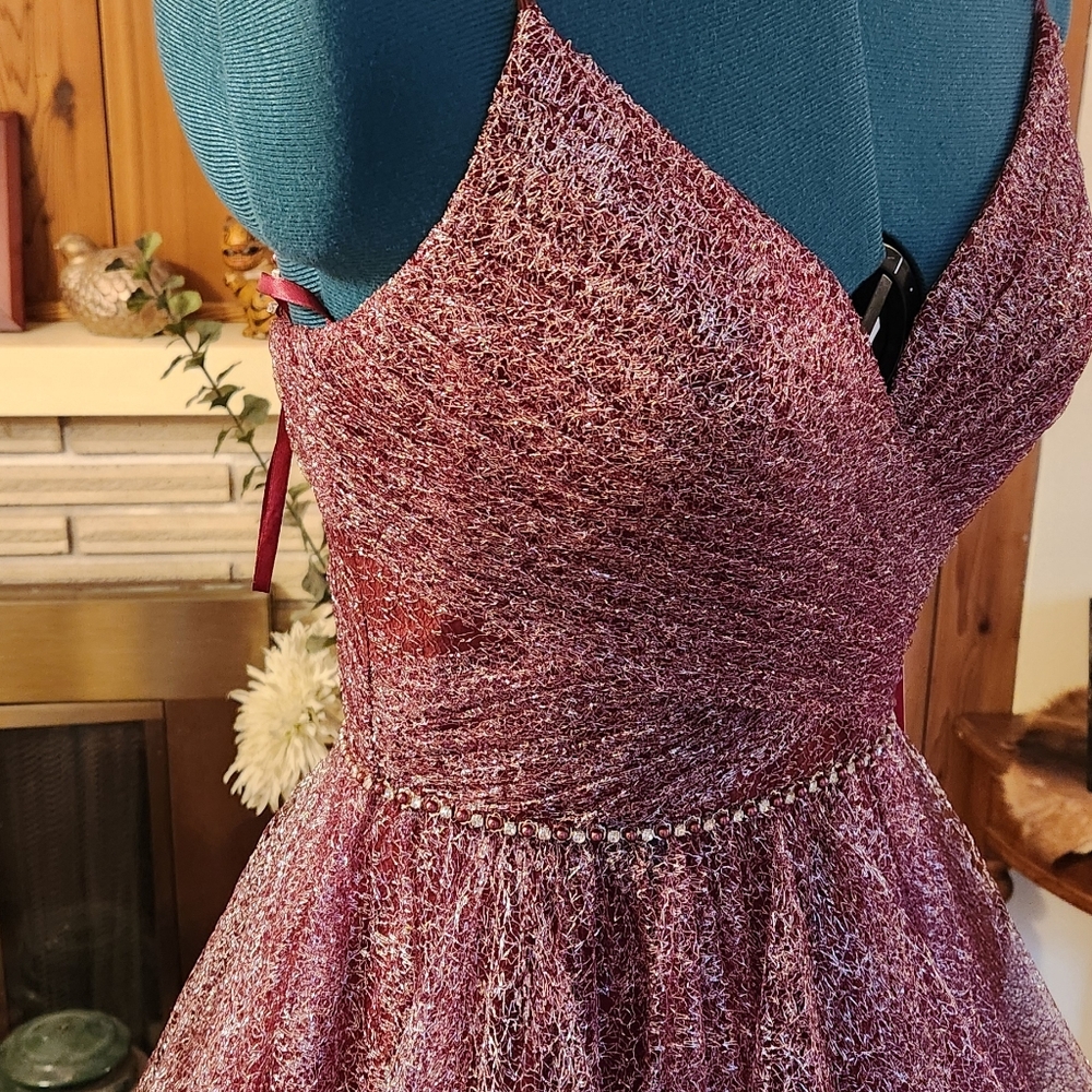 Terani Couture Wine Gown - Picture 3 of 8